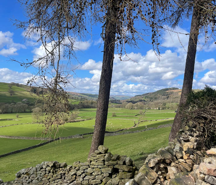 North Yorkshire Countryside Views