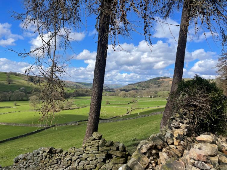 Yorkshire Dales landscape